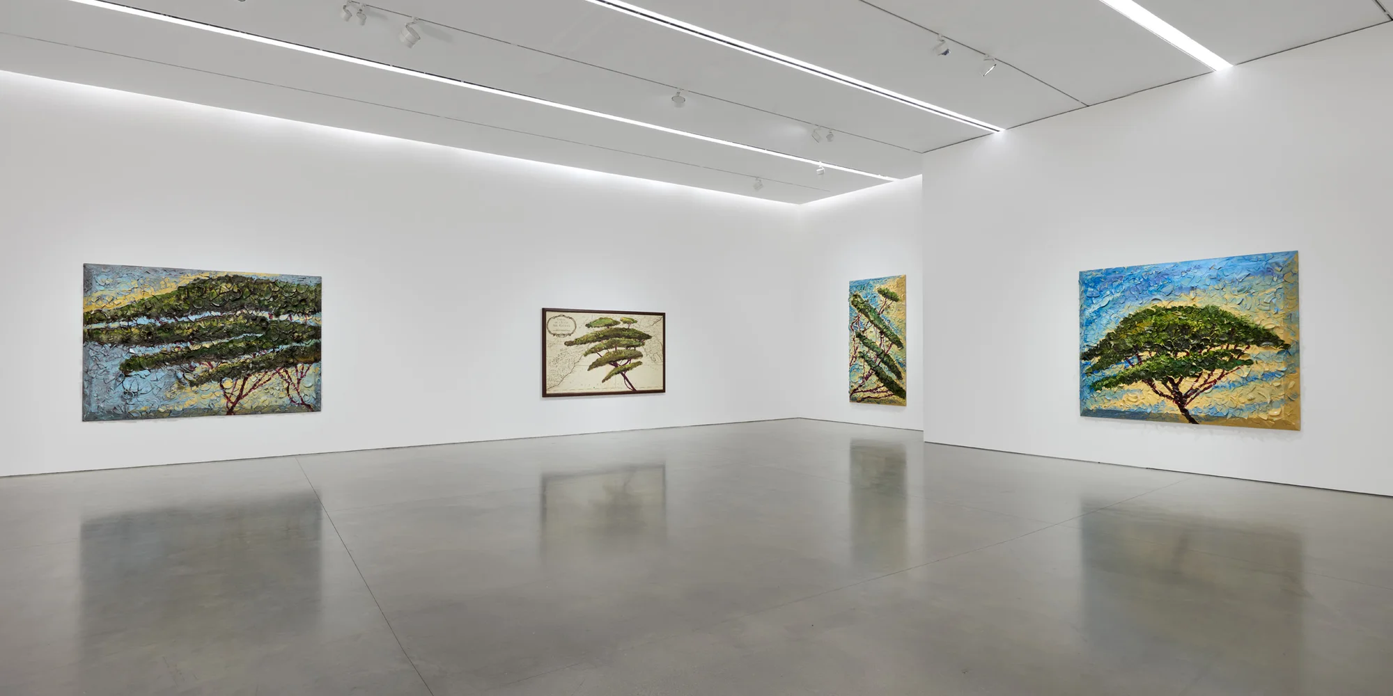 Installation view of Italy Through Its Trees by Julian Schnabel