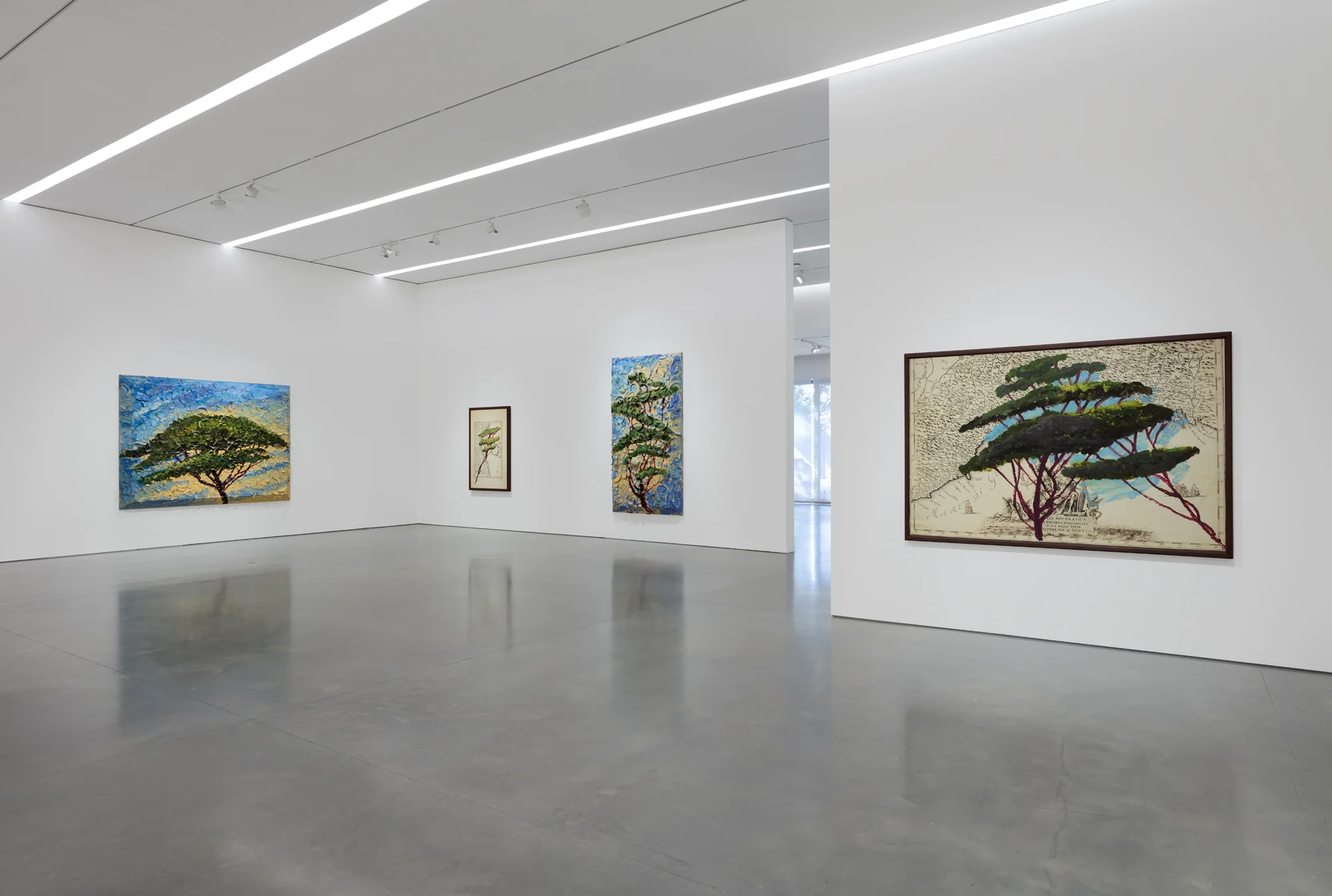 Installation view of Italy Through Its Trees by Julian Schnabel