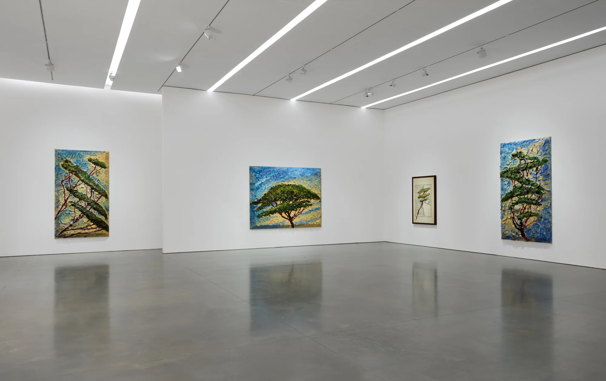 Installation view of Italy Through Its Trees by Julian Schnabel