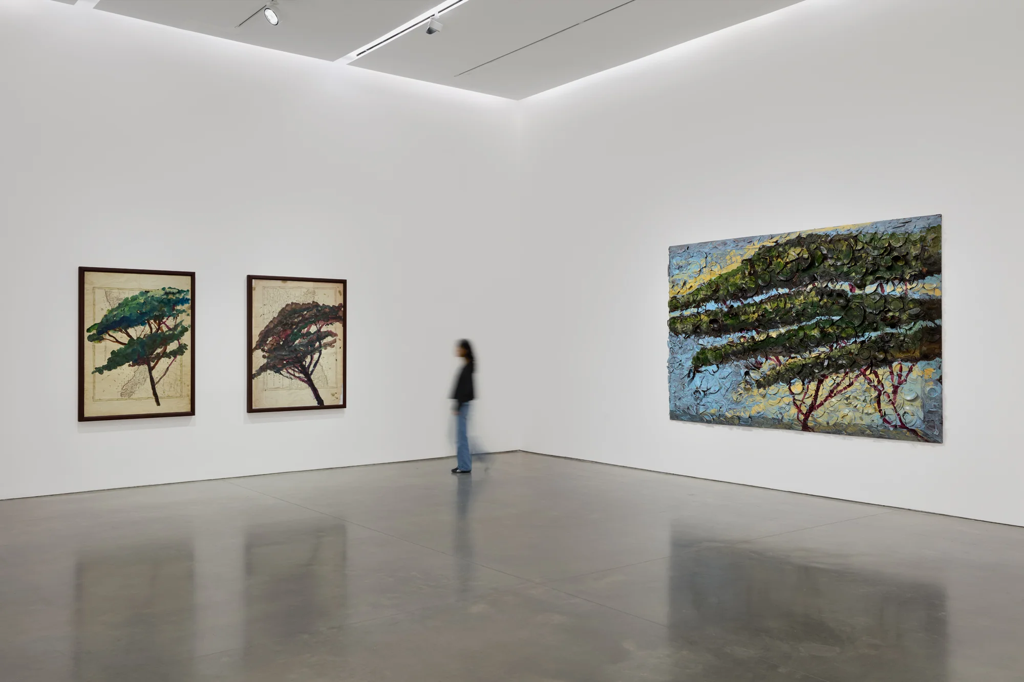 Installation view of Italy Through Its Trees by Julian Schnabel