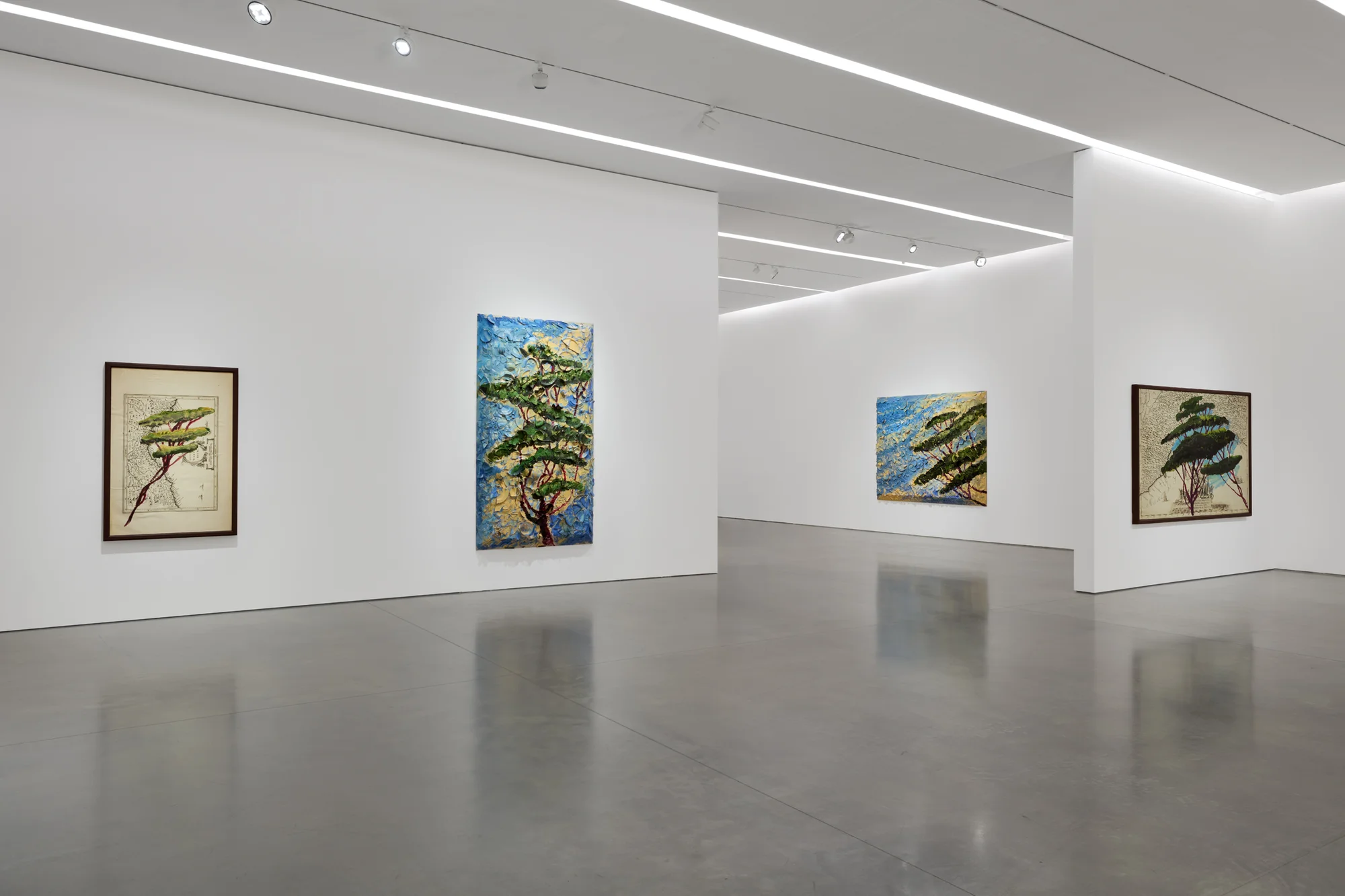 Installation view of Italy Through Its Trees by Julian Schnabel