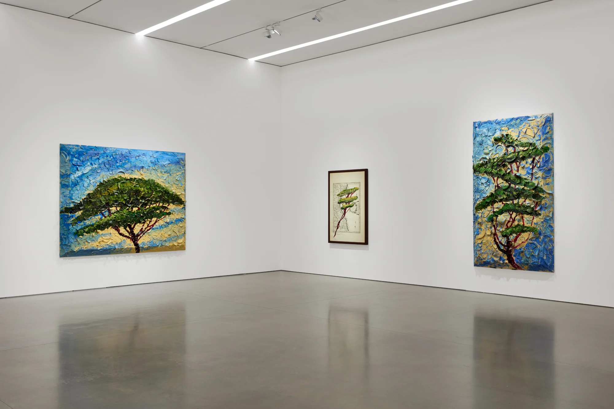 Installation view of Italy Through Its Trees by Julian Schnabel