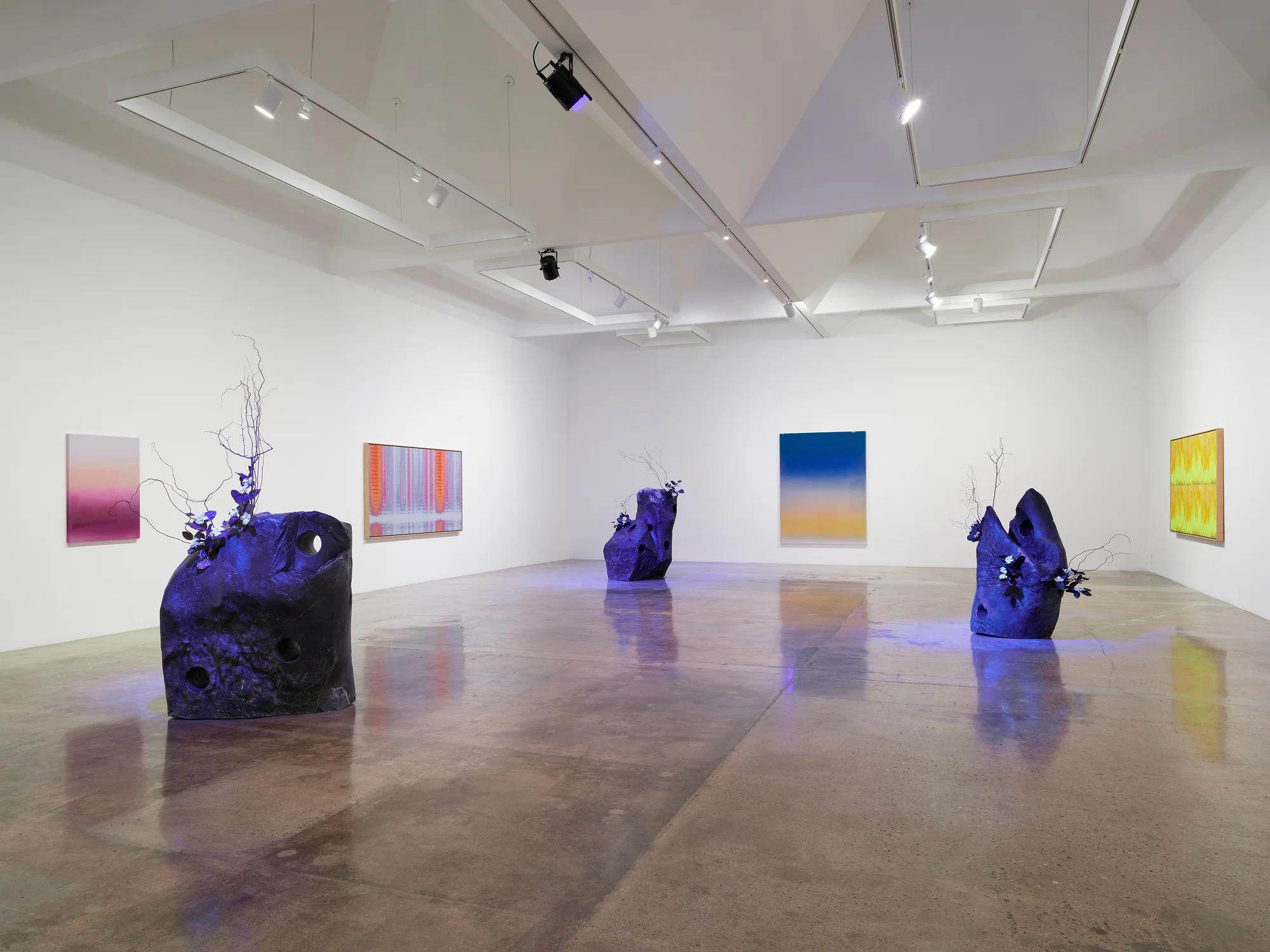 Installation view of 37 Dimensions by Mika Tajima