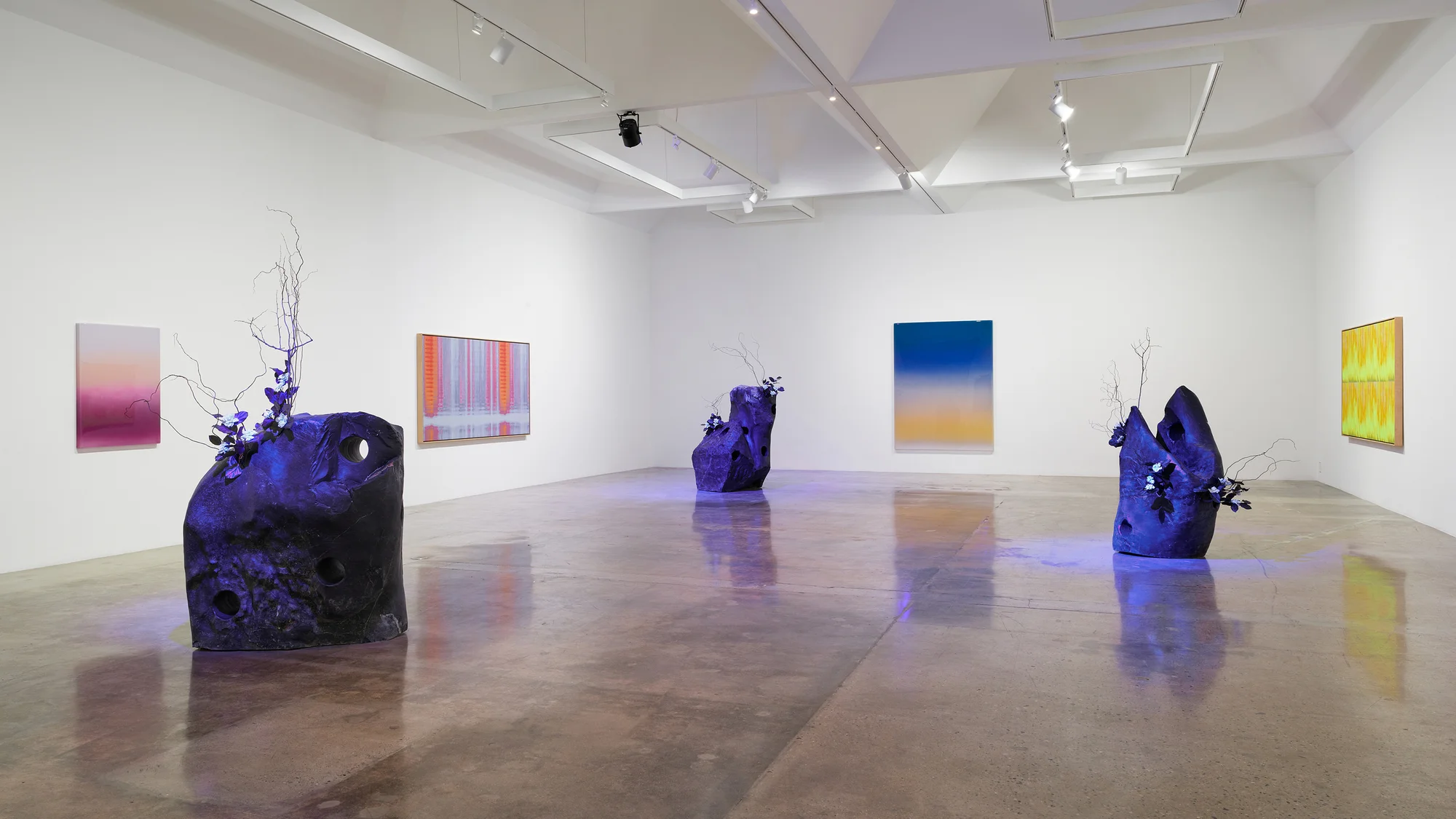 Installation view of 37 Dimensions by Mika Tajima
