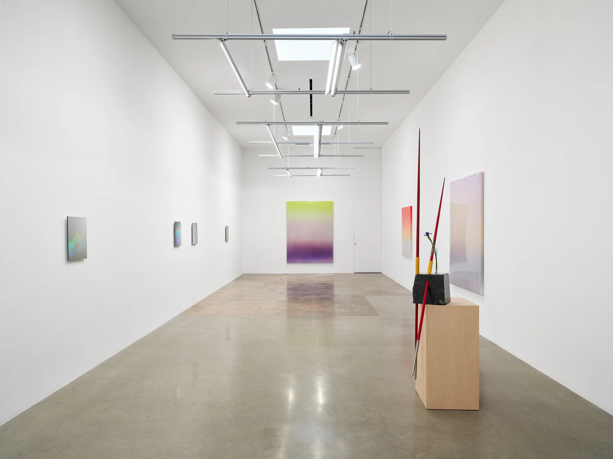 Installation view of 37 Dimensions by Mika Tajima