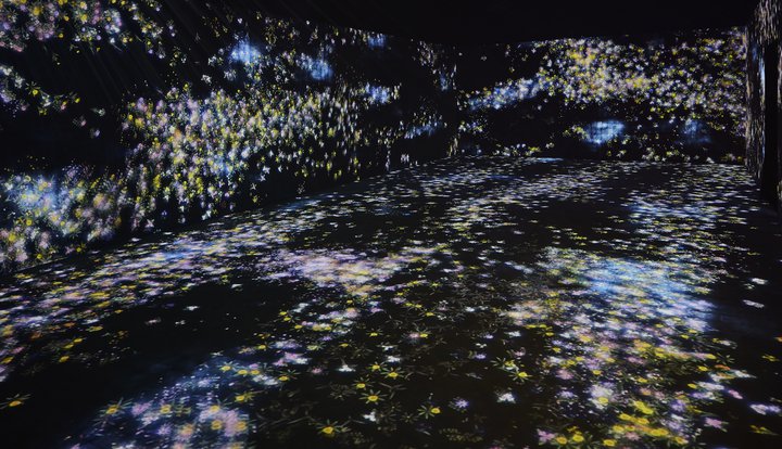 teamLab | Pace Gallery