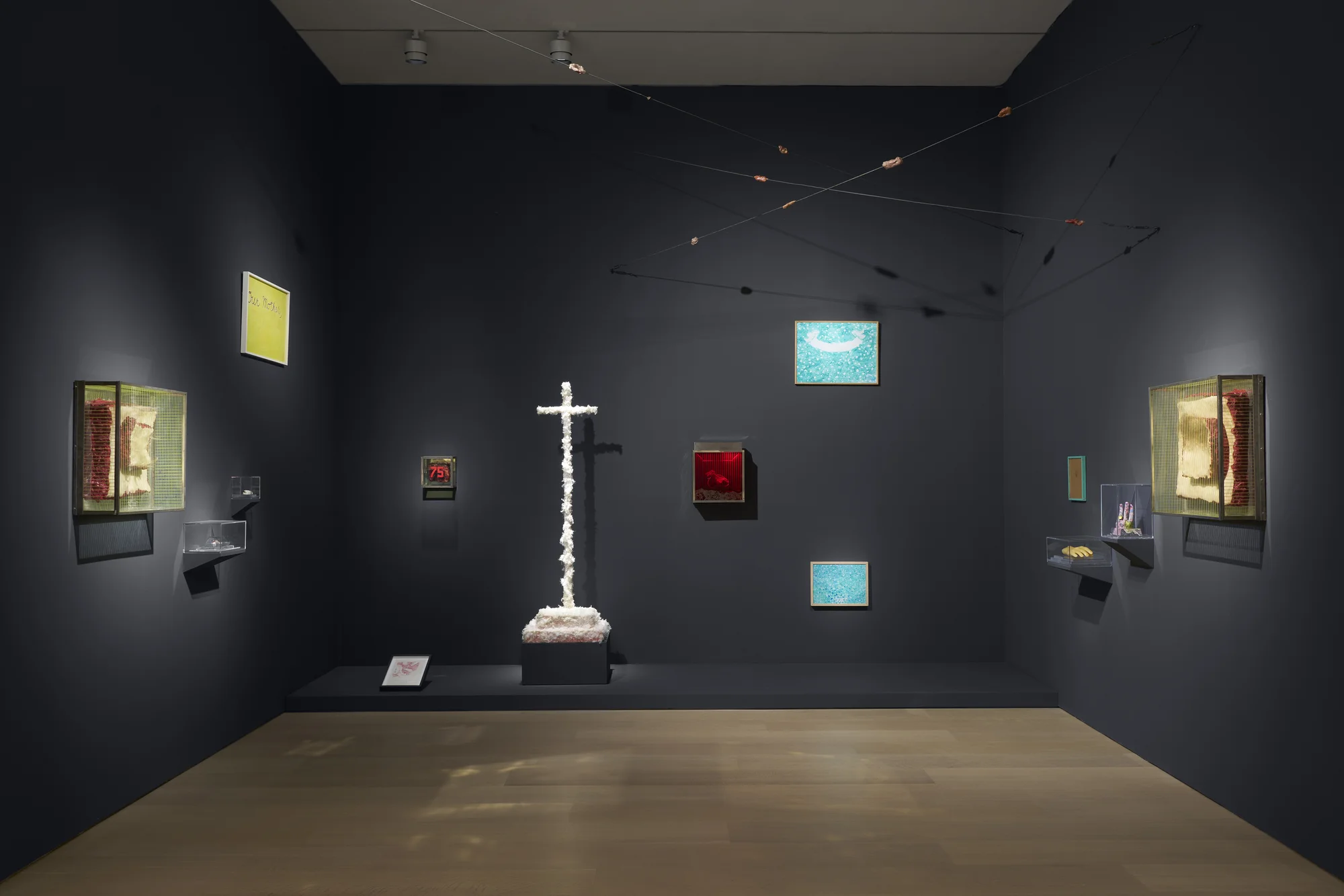 Installation view of Dream of Vanishing by Paul Thek