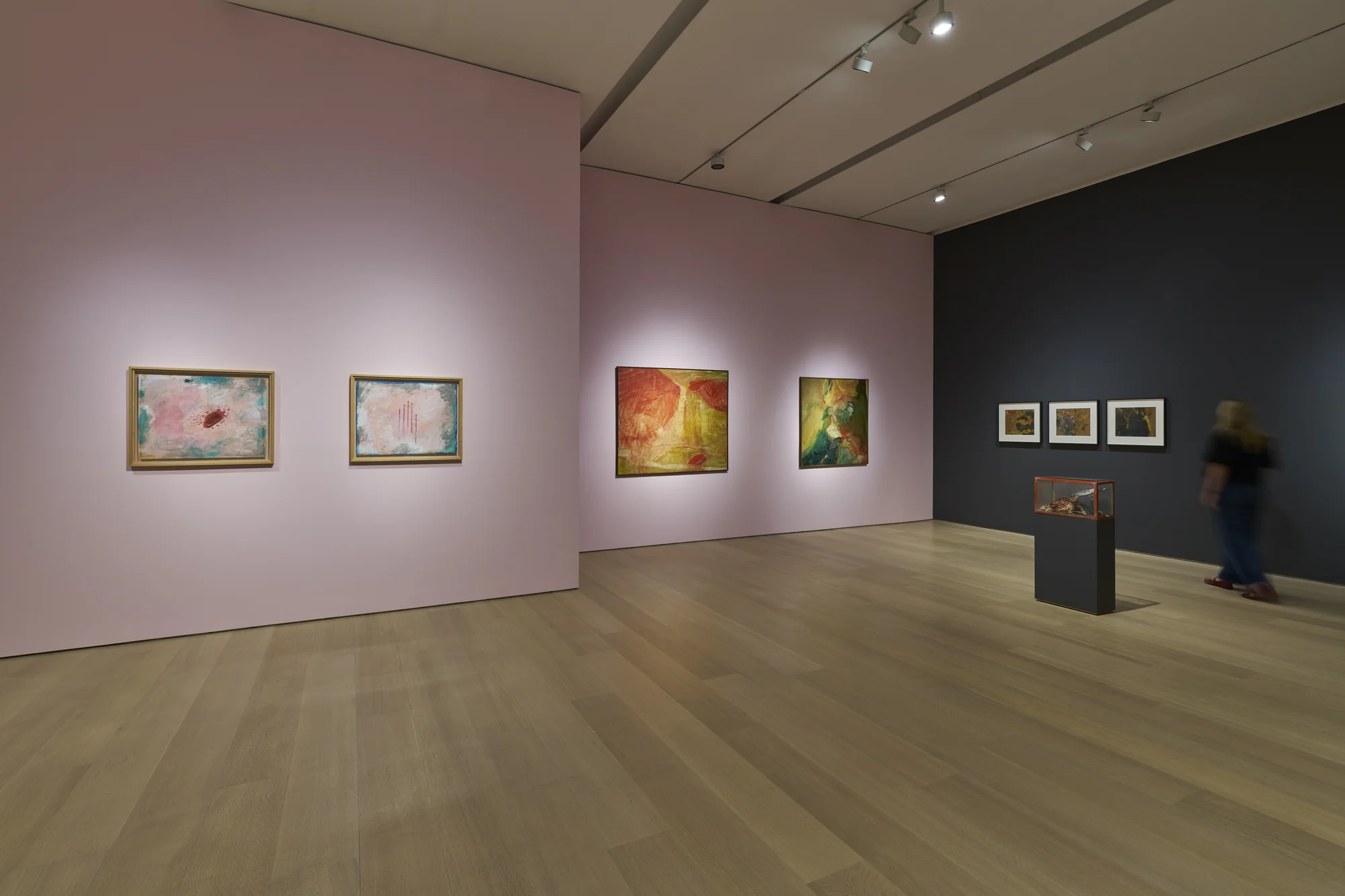 Installation view of Dream of Vanishing by Paul Thek