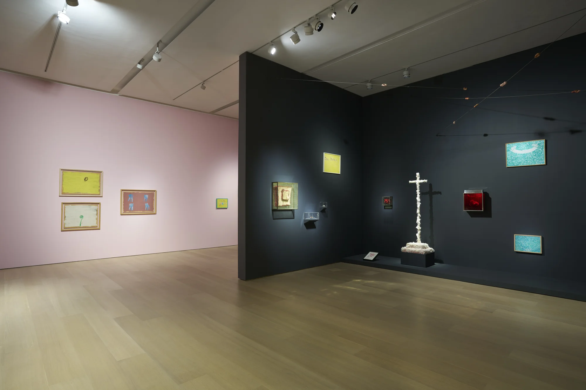 Installation view of Dream of Vanishing by Paul Thek