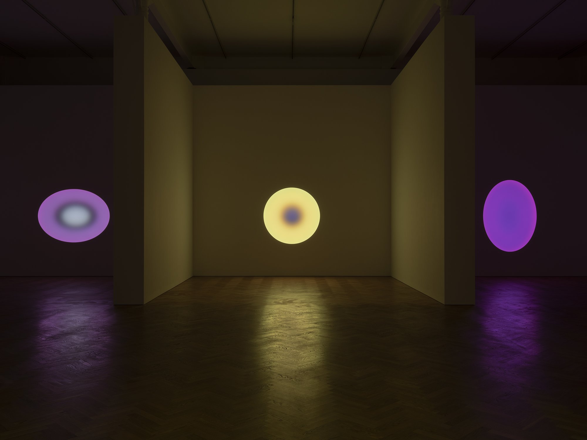 TURRELL_INST_PGL_2020_v07.jpg