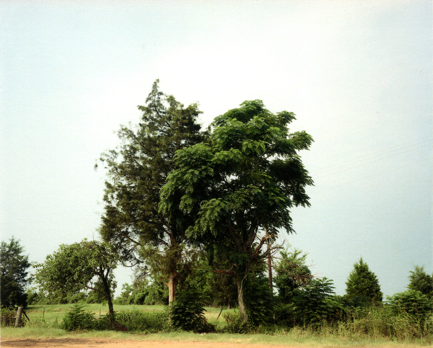 WC.113.5_Site of Palmist Building, Havana Junction, Alabama, 1988_HR.jpg