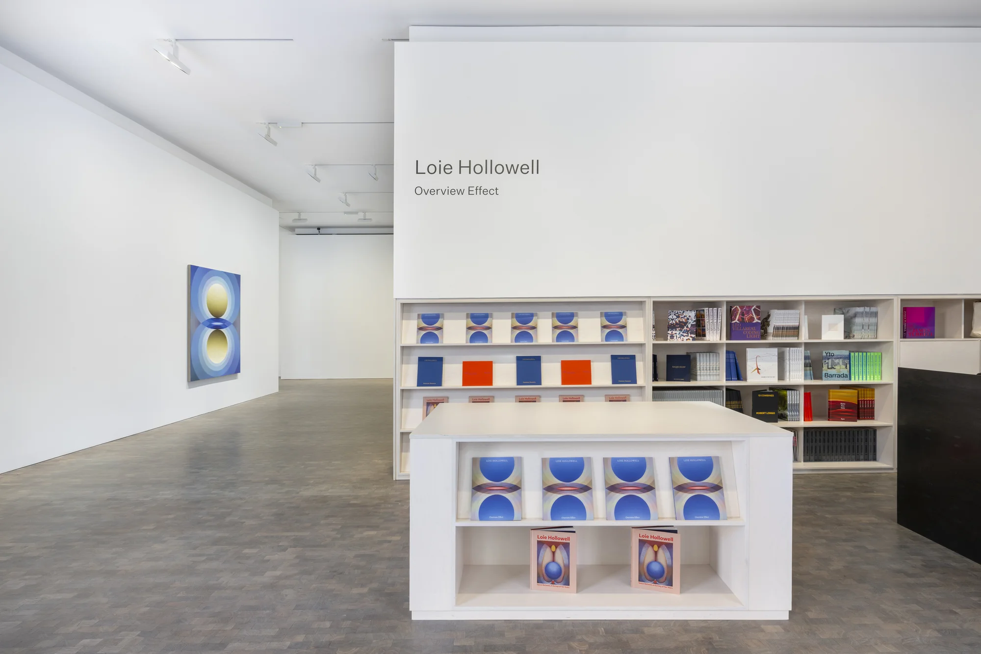 Installation view of Overview Effect by Loie Hollowell in London