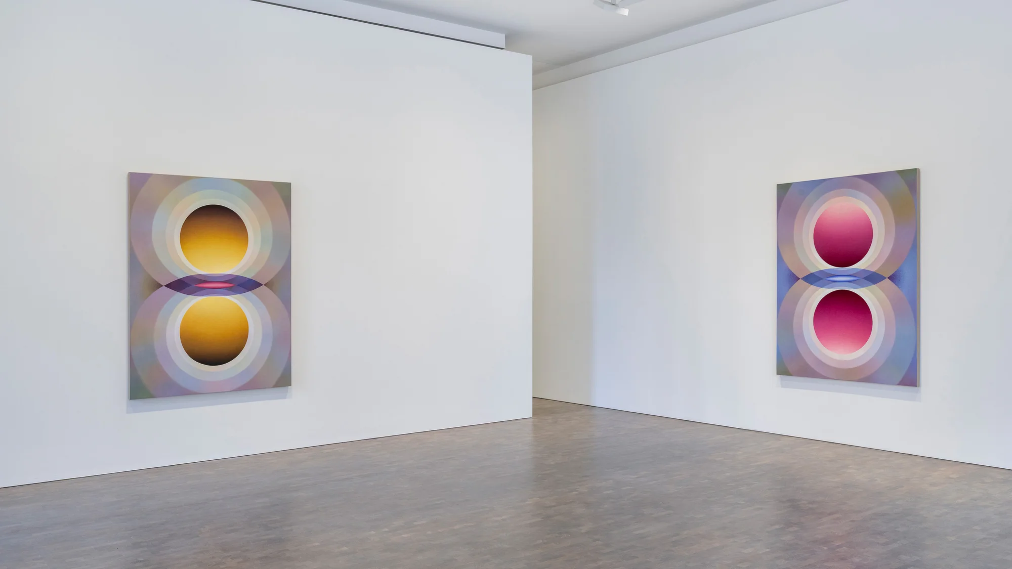 Installation view of Overview Effect by Loie Hollowell in London