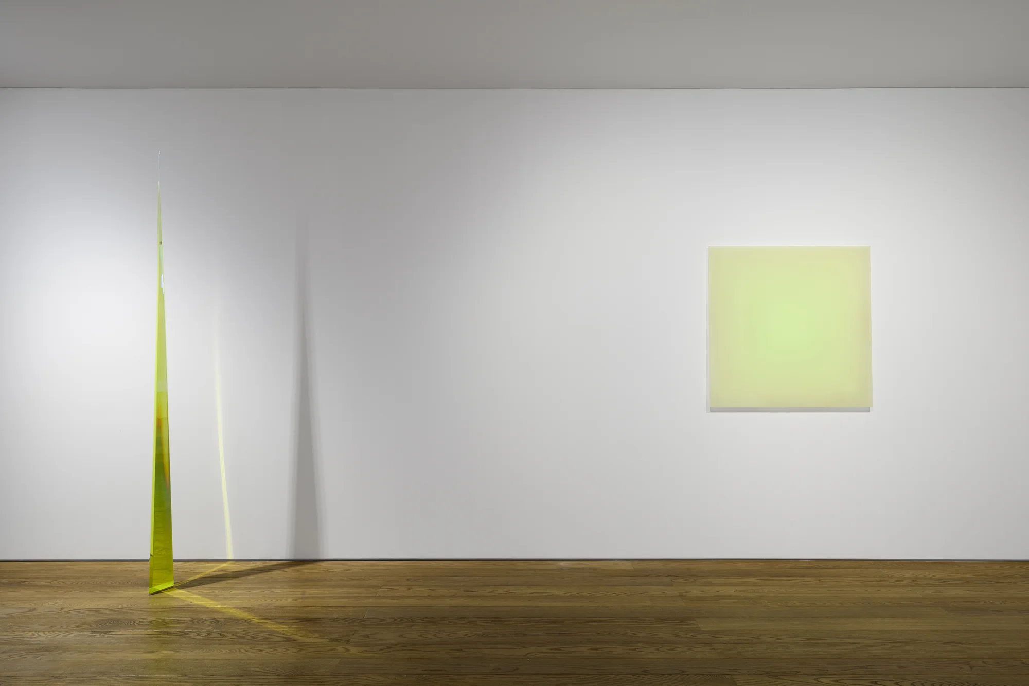 Installation view of Particulates of Color by Peter Alexander