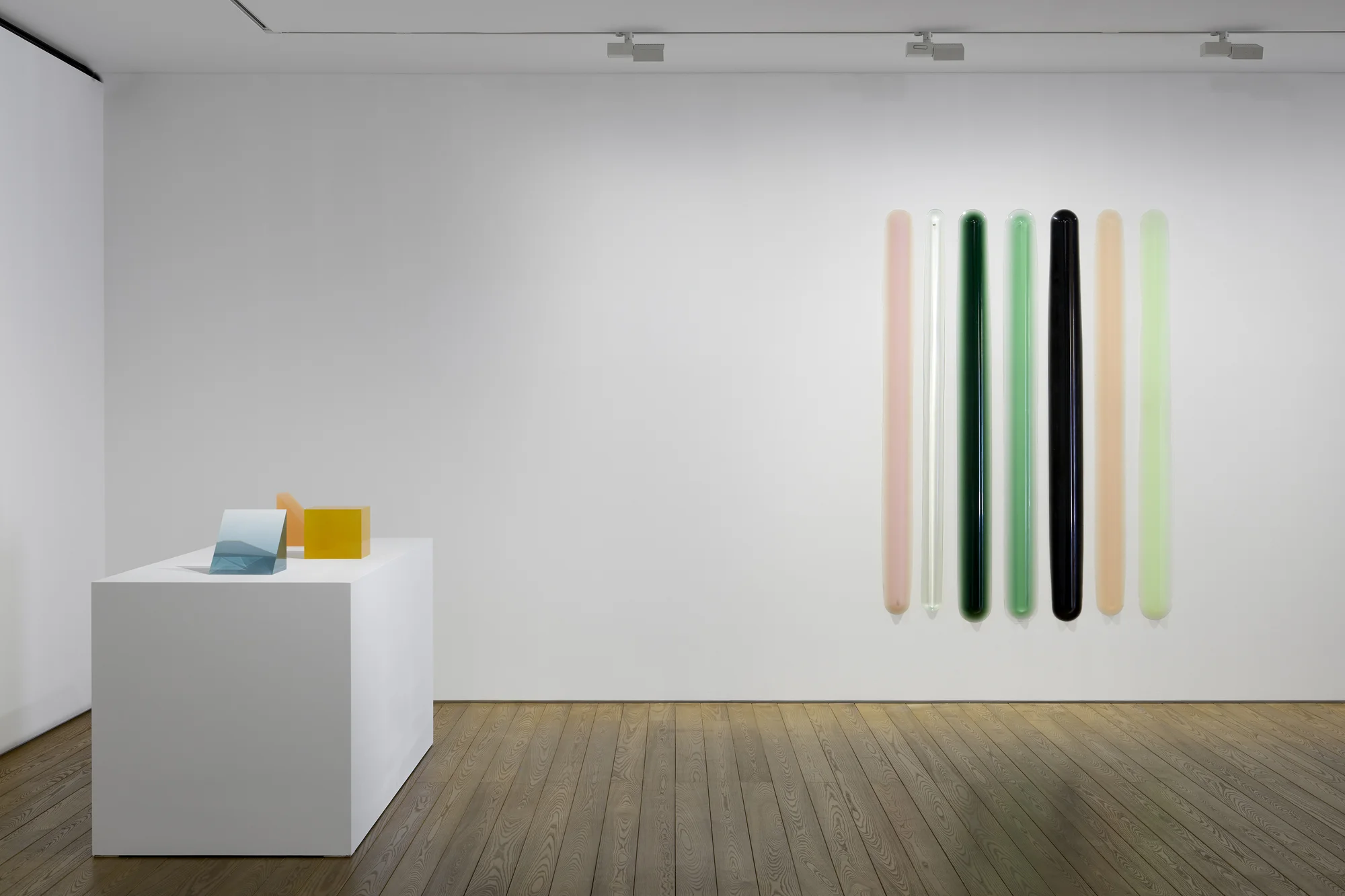 Installation view of Particulates of Color by Peter Alexander