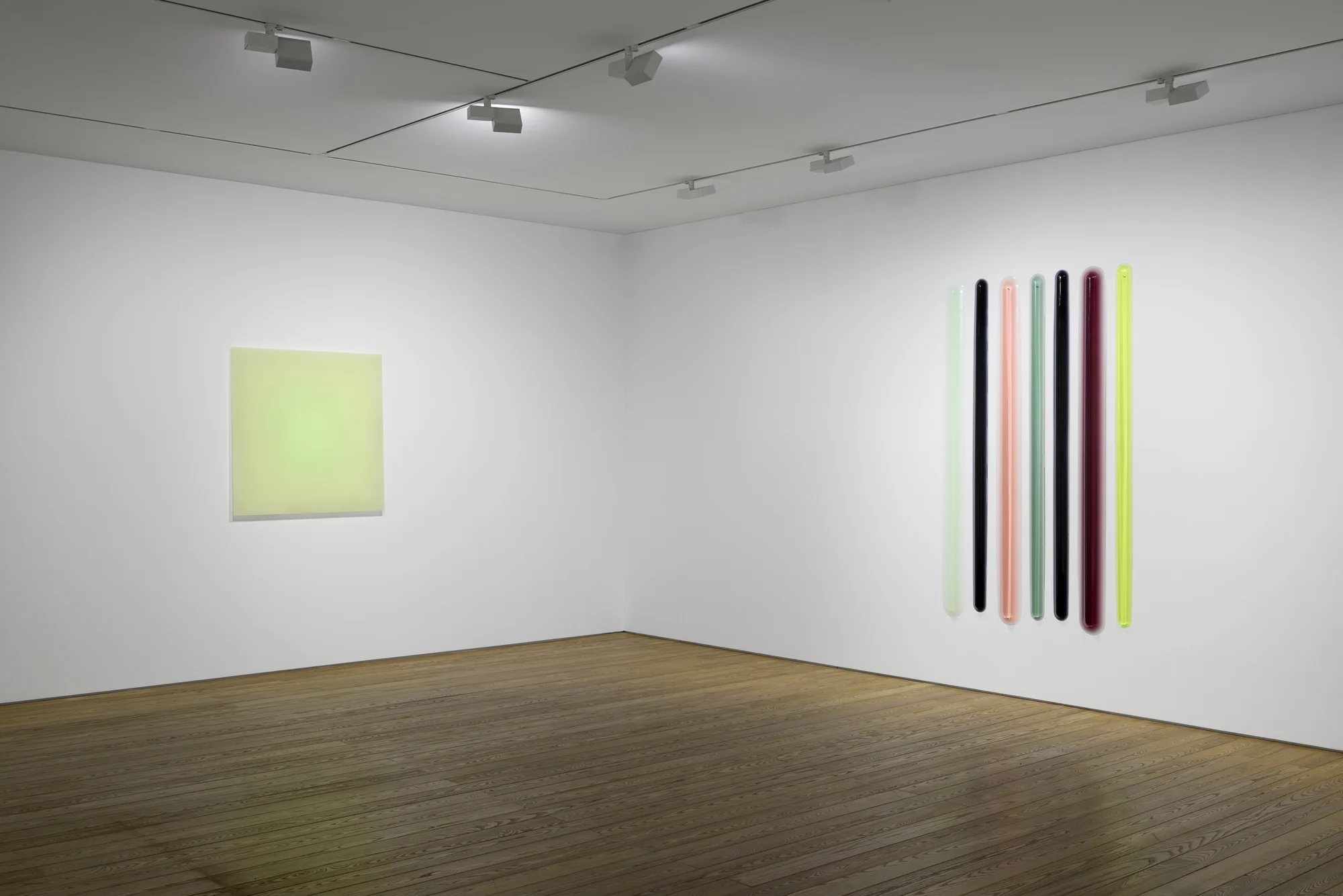 Installation view of Particulates of Color by Peter Alexander