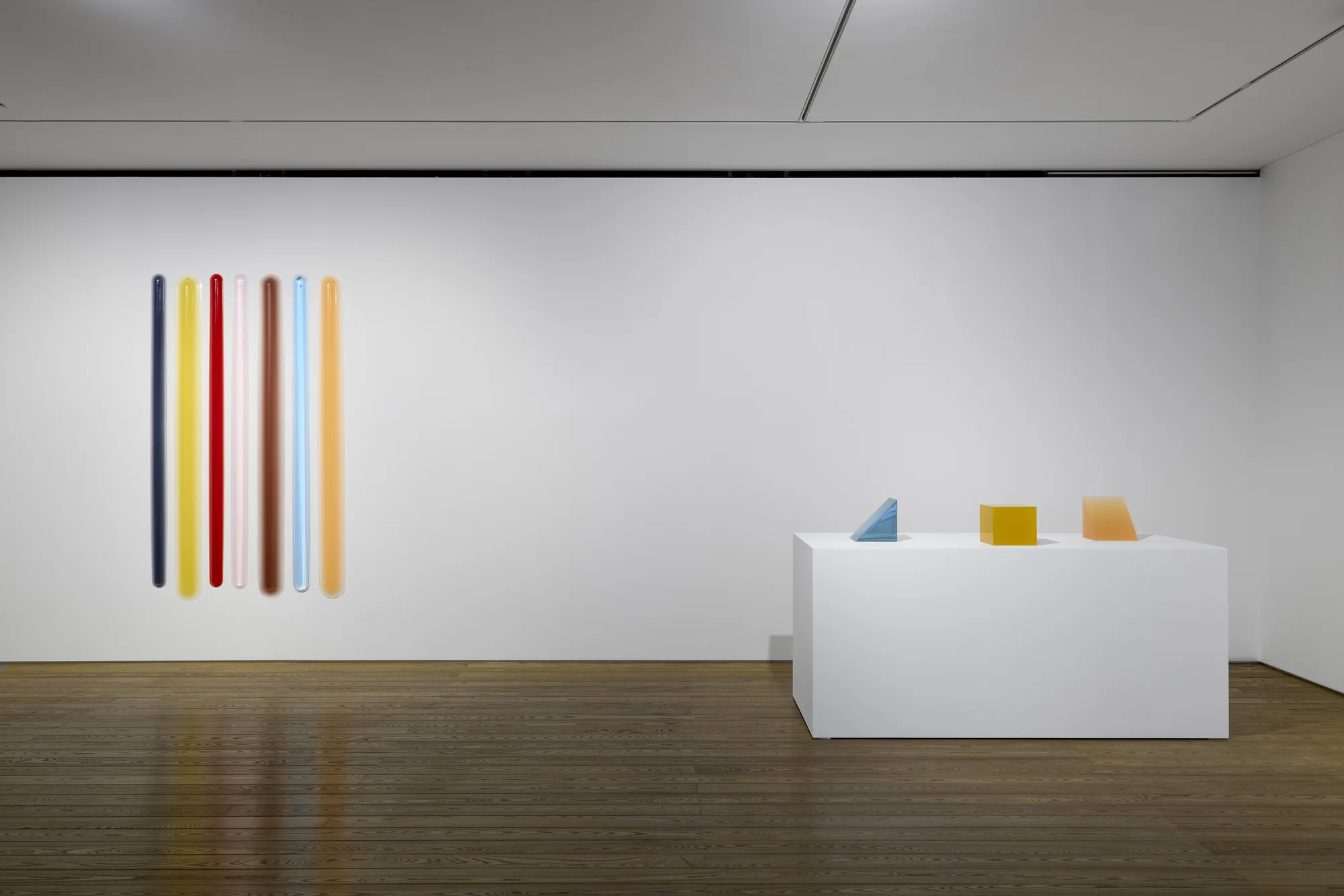 Installation view of Particulates of Color by Peter Alexander
