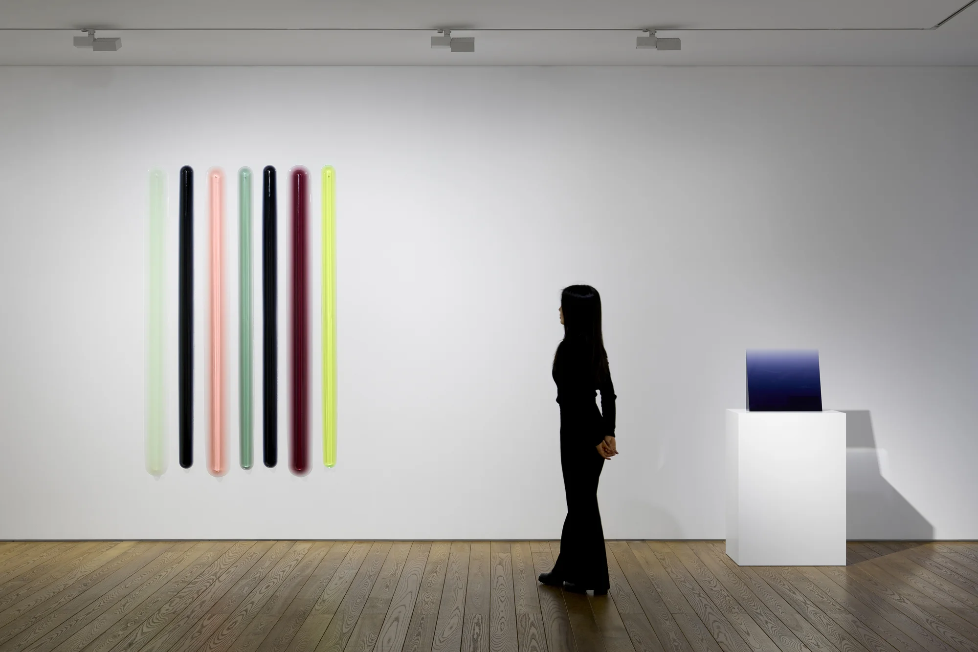 Installation view of Particulates of Color by Peter Alexander