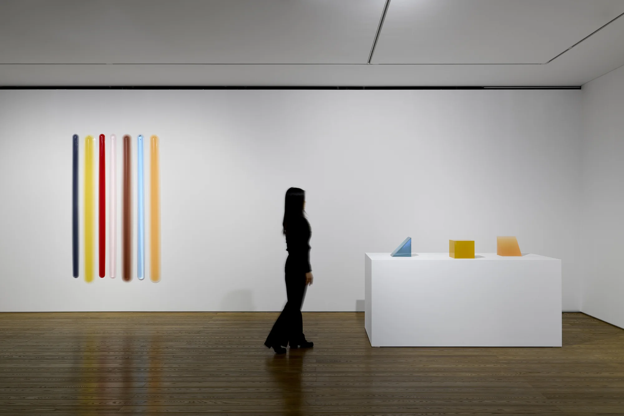 Installation view of Particulates of Color by Peter Alexander