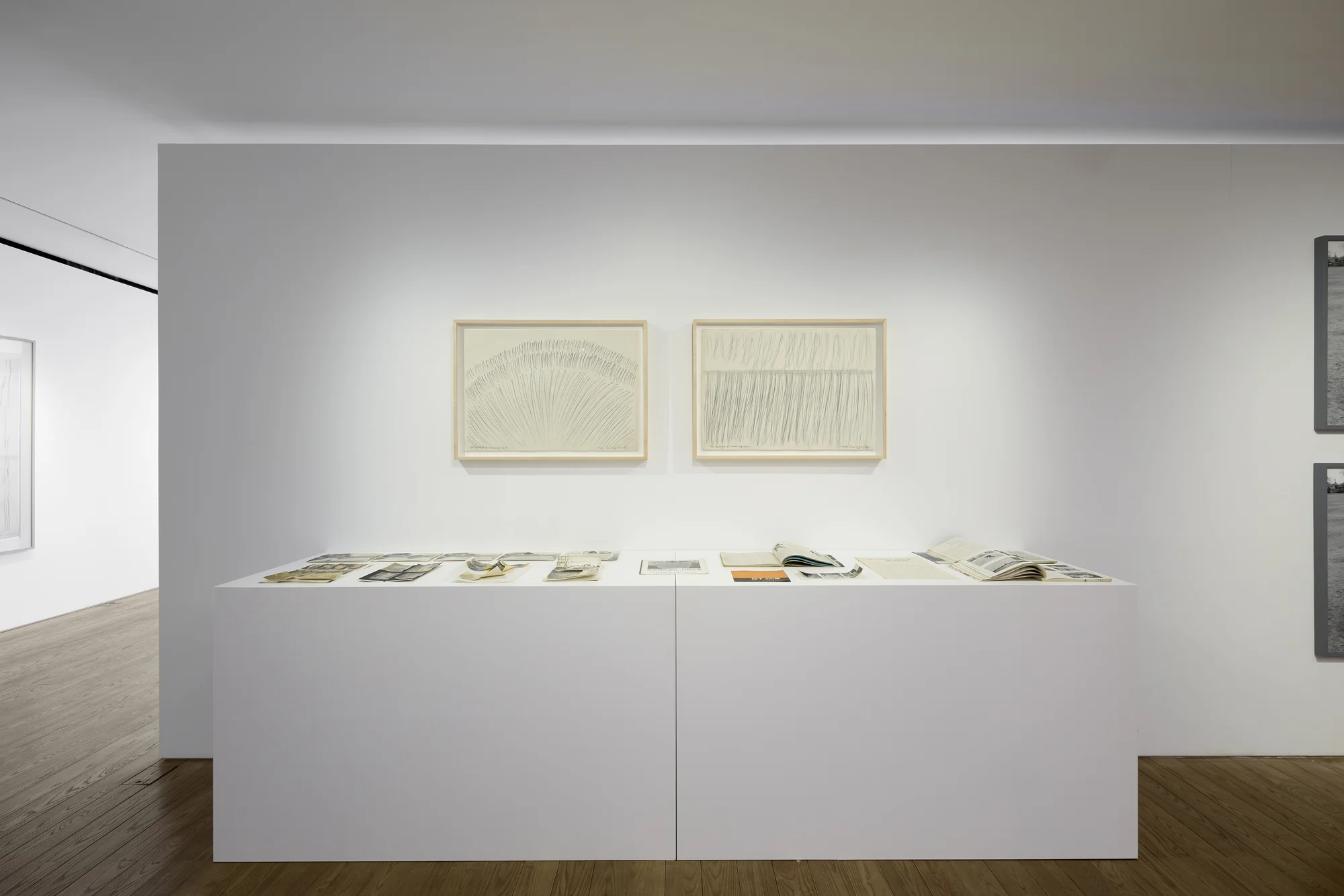 Installation view of Body as Thought by Lee Kun-Yong