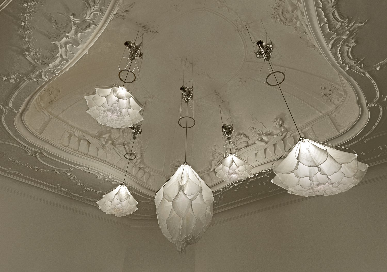 shylight+web1.jpg